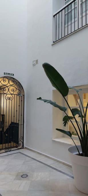 Apartment El 2 De Flamenco Bajoa Cadiz
